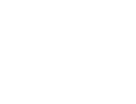 Instagram Fans